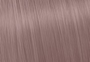265998bb68c7493a136fd39db0964822