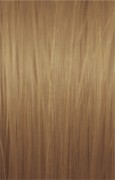 198df6fd29e45a051734685fc505456a