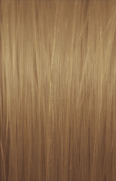 198df6fd29e45a051734685fc505456a