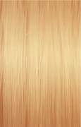 9b338c78fbde8536c0184bd4fbe3102f