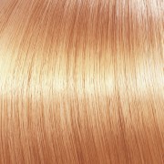 b584d8cff7e565215f23dcd4b2817fd2
