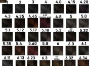 d9a0ab67b98464ebf1d576b490786544