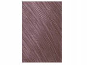 86b8e3f73c5c6f8057027aea42f98684